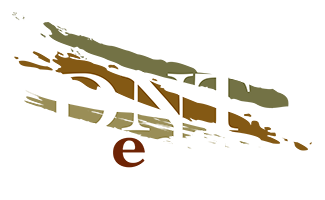Designed and built by DNT Media